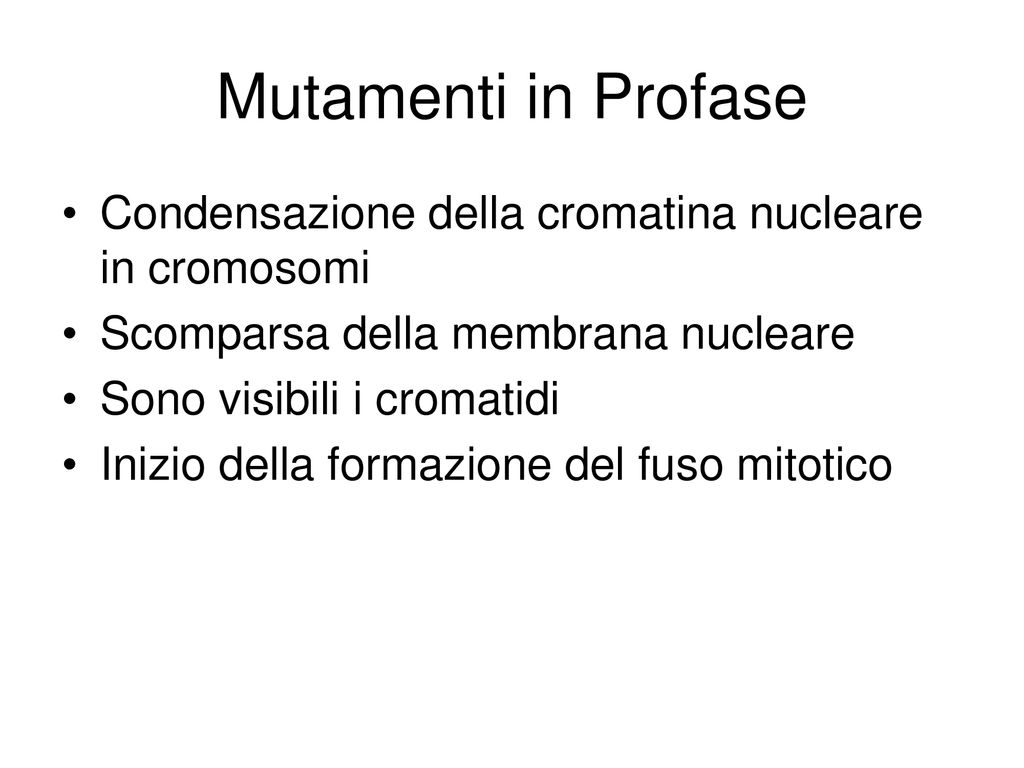 Ciclo Cellulare S Beninati Ppt Scaricare